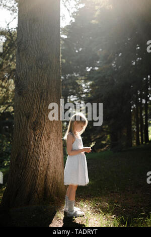Bambina in abito bianco in piedi in una struttura ad albero Foto Stock