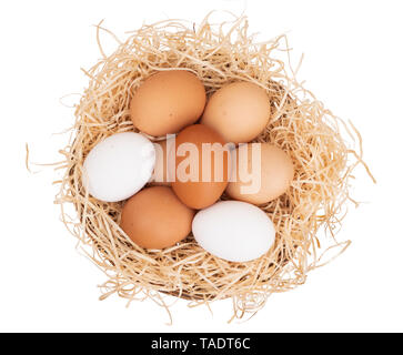 Un assortimento di pollo, uova di galline in un cesto isolato su bianco. Colori: marrone e bianco screziato. Foto Stock