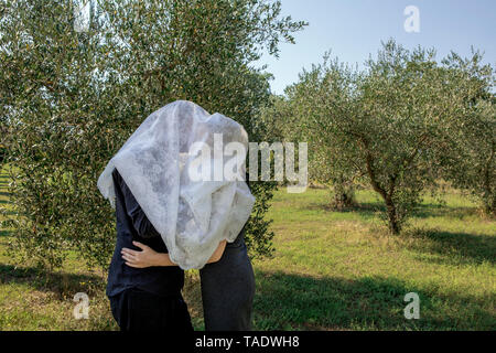 L'Italia, Toscana, matura in oliveto baciare sotto un panno Foto Stock