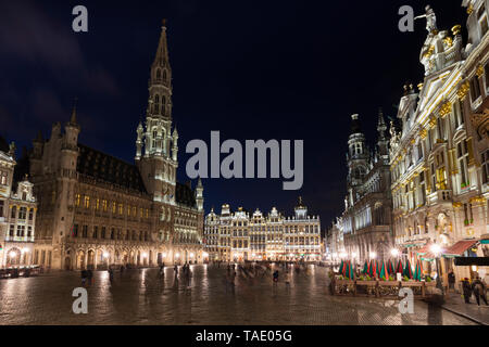 Il Belgio, Bruxelles, Grand Place, Municipio e guildhalls di notte Foto Stock