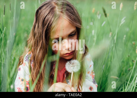 Ritratto di infelice fanciulla guardando blowball su un prato Foto Stock