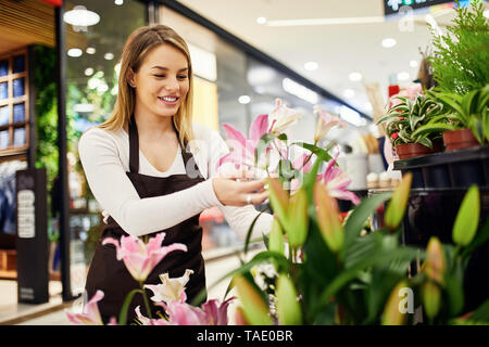 Fioraio disponendo dei fiori nel negozio di fiori Foto Stock