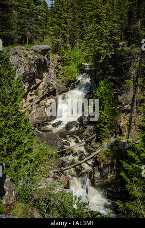 Crystal Falls in poco Pend Oreille National Wildlife Refuge. Foto Stock