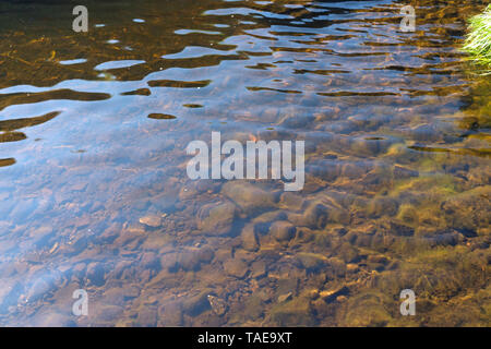 Ai piedi del Black Cuillins vicino Glenbrittle sono le piscine di fata, splendidamente cristallino piscine blu sul fiume fragili. Foto Stock