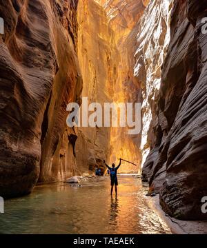 Escursionista passeggiate in acqua e si allunga braccia in aria, la si restringe, luogo stretto del fiume vergine, ripide pareti del Canyon Zion, Sion Foto Stock