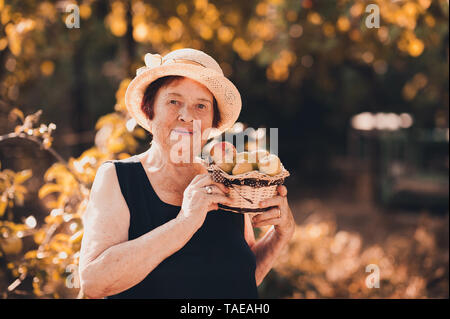 Ridendo donna senior 70-75 anni cestello di contenimento con mele verdi in giardino. Guardando alla fotocamera. 80s. Foto Stock