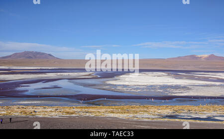 Fenicotteri cileni e i bellissimi panorami sulla Laguna Colorada, Salar de Uyuni, Bolivia Foto Stock