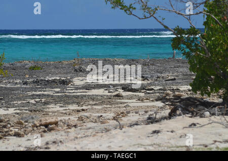 Spiaggia Guardalavaca nel sud di Cuba, attualmente minacciata da un massiccio insostenibile modello di turismo Foto Stock