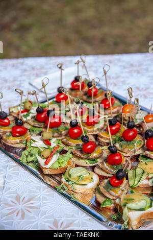 Splendidamente decorate catering tabella banchetti per matrimoni. Servizio di ristorazione a buffet piastra con tartine e sandwich appetitosi. Ristorazione a buffet tabella Foto Stock