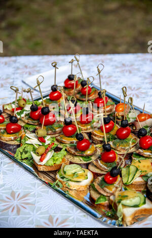 Splendidamente decorate catering tabella banchetti per matrimoni. Servizio di ristorazione a buffet piastra con tartine e sandwich appetitosi. Ristorazione a buffet tabella Foto Stock