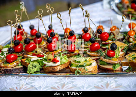 Splendidamente decorate catering tabella banchetti per matrimoni. Servizio di ristorazione a buffet piastra con tartine e sandwich appetitosi. Ristorazione a buffet tabella Foto Stock