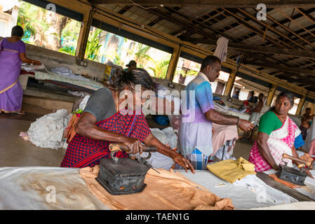 Ritratto orizzontale di dhobi wallahs a stirare e piegare i vestiti puliti in India. Foto Stock