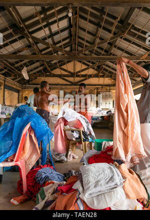 Vista verticale di dhobi wallahs ripiegare i vestiti puliti in India. Foto Stock