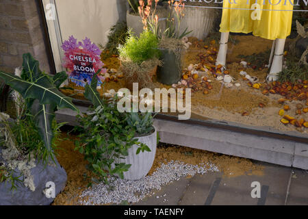 Shop display in King's Road con 'Chelsea in Bloom" visualizzato durante il famoso Chelsea Flower Show a Londra,UK Foto Stock