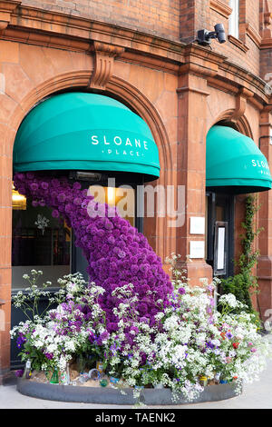 Chelsea in Fiore 2019, Sloane Place Hotel floral display Foto Stock