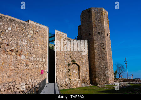 Tarragona, Spagna. Febbraio 8, 2019. Vista dell'ingresso del circo romano di Tarraco (Circo romano de Tarraco) Foto Stock