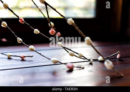 Macro closeup di coloratissimi Hanamochi ikebana in Giappone, un tradizionale nuovo anno di decorazioni di fiori realizzati con riso Foto Stock