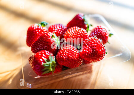 Tradizionale Giapponese del dessert scatola confezionata di plump costoso fragole sulla tavola di legno nella luce solare macro closeup Foto Stock