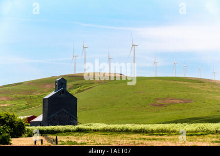 Un vecchio elevatore granella con le turbine eoliche in background nei pressi di Pomeroy, nello Stato di Washington, USA. Foto Stock