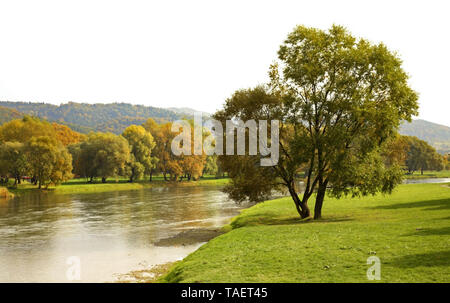 Fiume San di Sanok. Subcarpathian voivodato. Polonia Foto Stock
