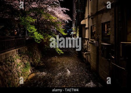 Kyoto, Giappone illuminato incandescente cherry blossom flower alberi lungo il fiume canal in Gion a notte durante il festival Hanami con superficie di acqua Foto Stock