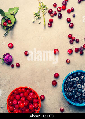 Congelati mirtillo, pallon di maggio, cranberry in ciotole e decorate con fiori secchi, foglie di vitamina e antiossidante ricco di resveratrolo cibo Foto Stock