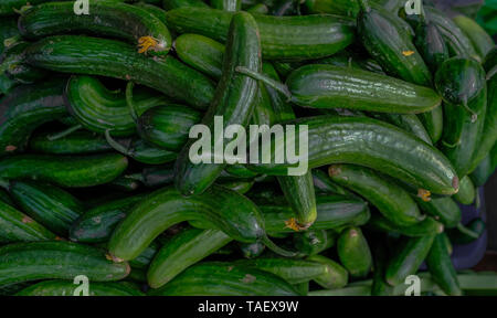 Selezione di green piccoli cetrioli in vendita su un mercato agricolo. Closeup colpo di piccole verdure fresche. Foto Stock