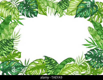 L'estate tropicale cornice verde con foglie di palmo su uno sfondo bianco. Disegnata a mano illustrazione Foto Stock