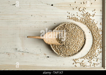 Frumento organico grano intero in liberiane ciotola su legno Foto Stock