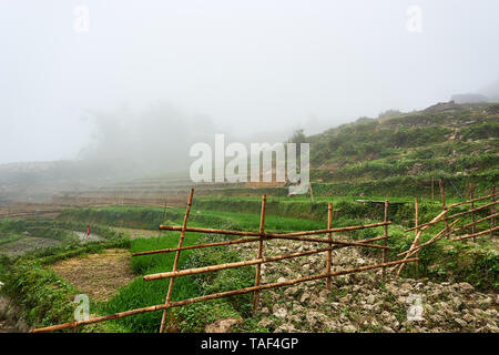 Paesaggio nebbiosi di Ricefields in lao chai sapa valey in Vietnam. Sapa, Vietnam.- 22. Ami. 2019 Foto Stock