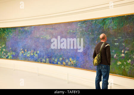 L'uomo ammirando il Claude Monet Water Lilies murales presso il Musée de l'Orangerie ,una galleria d'arte situata nell'angolo ovest delle Tuileries, Parigi Foto Stock