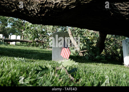 Arlington, VA, Stati Uniti d'America. 23 Maggio, 2019. Un albero caduto arto è visto poco dopo un temporale durante un flag nella cerimonia presso il Cimitero Nazionale di Arlington, il 24 maggio 2018 prima del Memorial Day in Arlington, Virginia. Credito: Michael A. McCoy/ZUMA filo/Alamy Live News Foto Stock