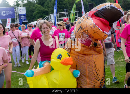 Brentwood Essex 25 maggio 2019 Cancro gara del Regno Unito per la vita a Weald Country Park, Brentwood Essex Credit Ian Davidson/Alamy Live News Foto Stock