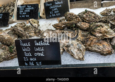 Ostriche di roccia selvaggia dal grande porto di Poole Dorset con Blackboard per le etichette dei prezzi, sul display in ghiaccio al Mercato di Borough londinese di mercato producono, Southwark London REGNO UNITO Foto Stock