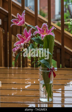 Rosa delicato daylily dopo una pioggia sul ponte di legno. Foto Stock