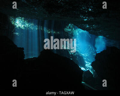 La riflessione di luce - Underwater al cenote Chacón Mool in Riviera Maya, Messico. Foto Stock