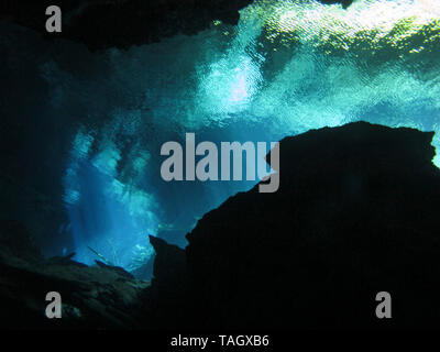 La riflessione di luce - Underwater al cenote Chacón Mool in Riviera Maya, Messico. Foto Stock