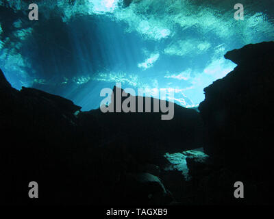 La riflessione di luce - Underwater al cenote Chacón Mool in Riviera Maya, Messico. Foto Stock