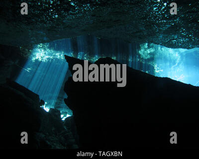 La riflessione di luce - Underwater al cenote Chacón Mool in Riviera Maya, Messico. Foto Stock