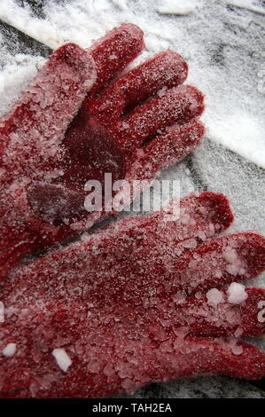 Guanti rossi posa su una neve cancellata ponte di legno. Foto Stock