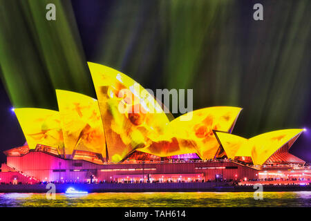 Sydney, Australia - 25 Maggio 2018: Giallo Fading light immagine dipinta di vele in piastrelle di Sydney Opera House sotto giallo flussi di luce nel cielo scuro Foto Stock