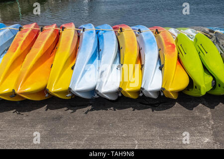 Una fila di vivacemente policroma kayak seduto a terra, inclusi i colori giallo, verde e blu Foto Stock