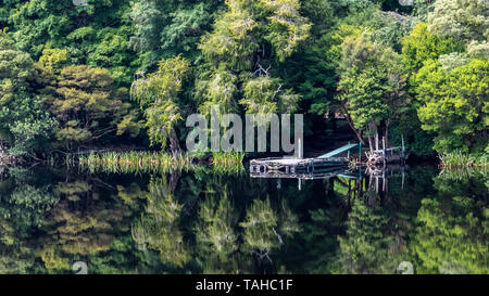 Riflessioni sul fiume Gordon, Tasmania Foto Stock