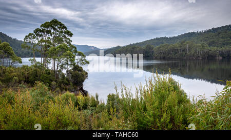 Riflessioni ad albero nel lago Roseberry, Tasmania Foto Stock