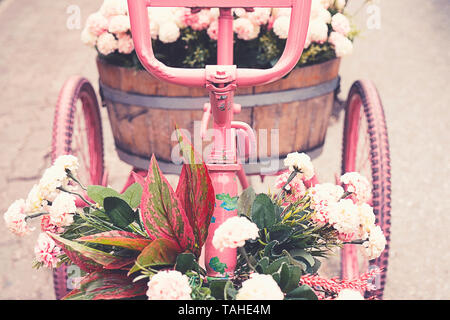 Cerimonia di nozze vintage arredamento retrò. Metallo bicicletta rosa con fiori Foto Stock