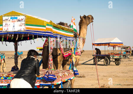 Rann di Kutch, Gujarat, India - circa 2018 : persone salire sul cammello coloratissimi carri come altri carri andare nella distanza. Questi carrelli del cammello assumere persone Foto Stock