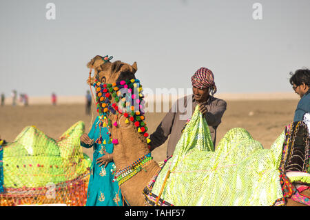 Rann di Kutch, Gujarat, India - circa 2018 : Camel herder proprietario sorge nei pressi decorato in maniera colorata camel nel bianco deserto di sabbia in Gujarat, Rajasthan. Foto Stock