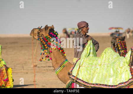 Rann di Kutch, Gujarat, India - circa 2018 : Camel herder proprietario sorge nei pressi decorato in maniera colorata camel nel bianco deserto di sabbia in Gujarat, Rajasthan. Foto Stock