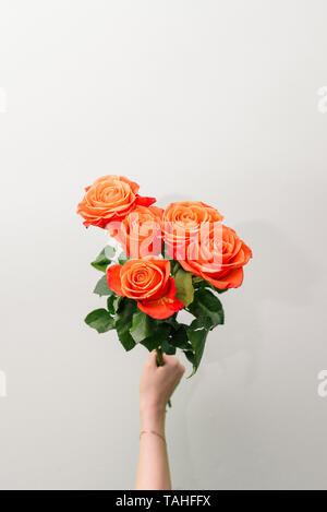 Orange rose. La mano della ragazza tiene un bouquet di fiori luminosi su sfondo verde. Boccioli di grandi dimensioni. Biglietto di auguri Foto Stock