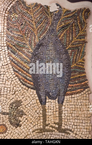 Dettaglio di un bellissimo mosaico antico in Aquileia (Italia) con un pavone rendendo la sua ruota Foto Stock